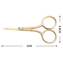 Stainless Steel Scissors