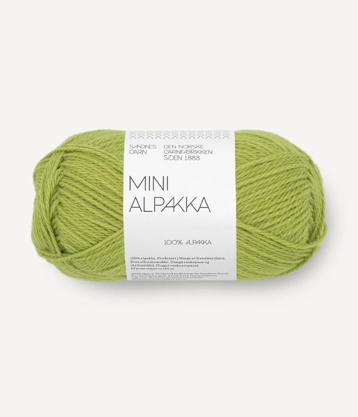 Mini Alpakka (PRE-ORDER)
