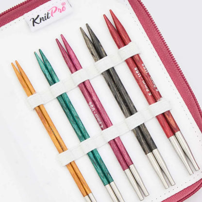 KnitPro Dreamz Interchangeable tip Starter set